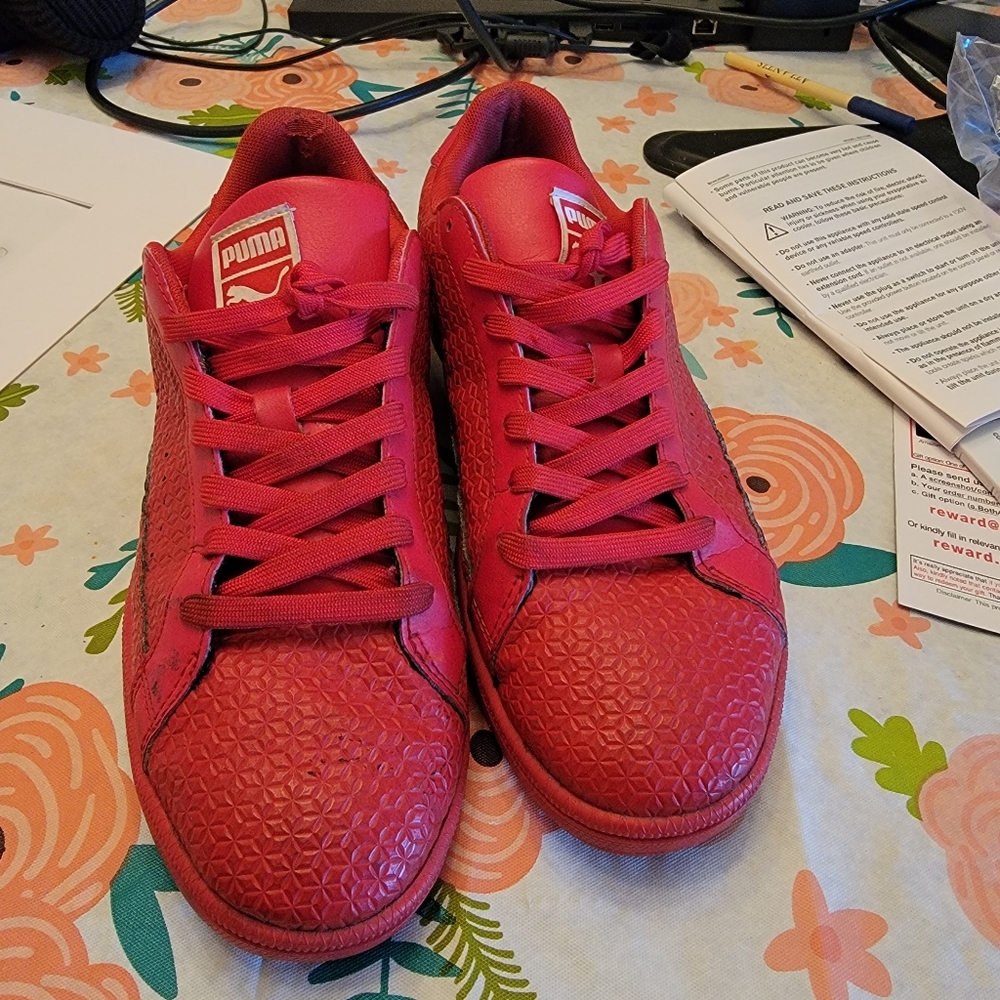 Pumas